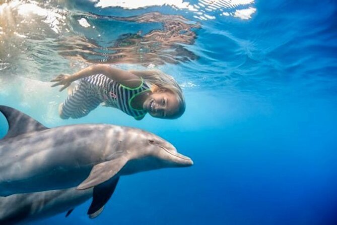 Dolphin House Full-Day Snorkeling Boat Trip from Hurghada