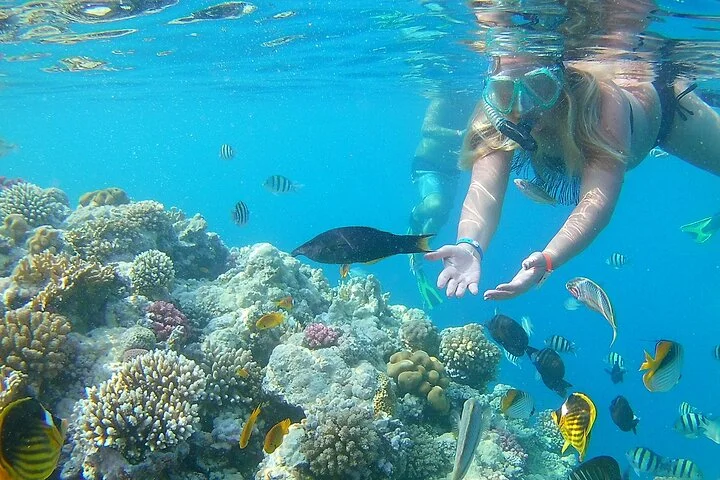 Escursione di un'intera giornata di snorkeling a Orange Bay Island a Hurghada con pranzo e attività acquatiche