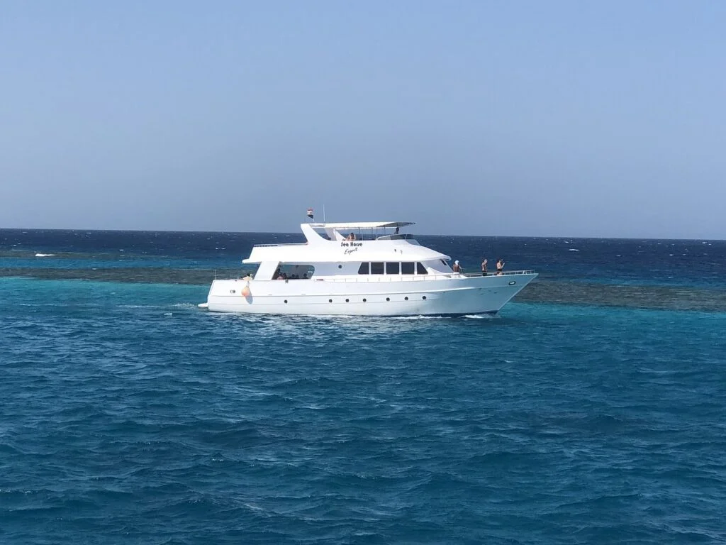 رحلة جزيرة باراديس سنوركل يوم كامل من الغردقة